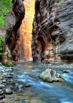 Zion Narrows, Zion National Park, Utah, USA