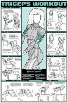 Triceps Workout