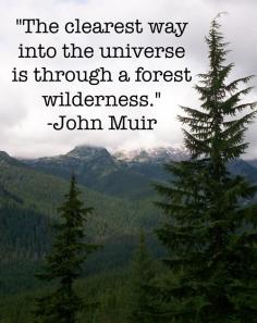 John Muir