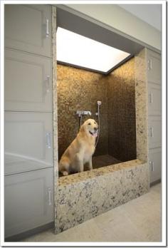 Amazing dog shower!