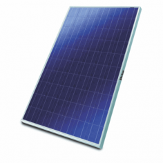 Sukam 100 watt 12 volt solar panel - Loom Solar