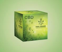 how to start a cbd business