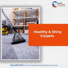 Professional Carpet Steam Cleaning Services in Canberra