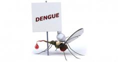 Explore dengue insurance cover options to protect yourself and your family from the costs of dengue fever treatment. Learn about coverage details, benefits, and how to choose the right plan for your health needs.