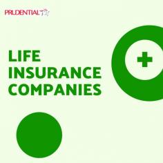 Explore top life insurance companies offering a variety of policies to suit your needs. Whether you're looking for term, whole, or universal life insurance, compare options, premiums, and coverage benefits from leading providers.                                                         