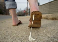 Chewing gum stuck on pavements, carpets, or public areas can be unsightly and difficult to clean. Our Chewing Gum Removal Service uses advanced steam cleaning methods and eco-friendly products to eliminate gum without damaging the surface. With thegumremover, we ensure quick, safe, and effective results for both residential and commercial spaces. Whether it’s walkways, schools, offices, or shopping centres, our professional team restores surfaces to their original clean state. Regular gum removal not only improves appearance but also enhances hygiene and safety. Trust us for reliable and affordable solutions tailored to your needs, keeping your property spotless and welcoming.