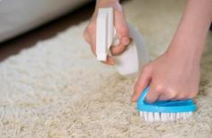 Looking for cheap carpet cleaning in Melbourne without compromising on quality? Scourdry offers affordable, professional carpet cleaning solutions that leave your carpets spotless and refreshed. Using advanced equipment and eco-friendly products, our experienced team ensures deep cleaning that removes stains, dirt, and allergens. We understand the importance of value for money, which is why Scourdry delivers exceptional results at budget-friendly prices. Whether it’s for your home or office, our reliable services are designed to suit your schedule and cleaning needs. Choose Scourdry for affordable carpet cleaning in Melbourne that doesn’t cut corners—just grime. Book now for a cleaner, healthier space!