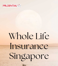 Whole Life Insurance Singapore offers lifelong coverage and financial stability for you and your loved ones. With guaranteed death benefits and cash value accumulation, it’s a smart choice for those seeking long-term protection and wealth preservation.