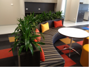 Best Indoor Plants Hire Melbourne – Fresh & Stylish Greenery
Looking for the best indoor plants hire Melbourne? We offer premium plant hire services for offices, homes, and events. Choose from a wide range of elegant indoor plants with modern planters, plus full maintenance to keep them looking fresh. Affordable packages, flexible rental plans, and hassle-free service. Bring nature indoors and create a welcoming space today!

Our Other Service

office plants
melbourne indoor plants
Indoor Plants Melbourne
Indoor Plant Hire
Office Plant Hire
Plant Hire Melbourne
office indoor plants
Indoor Plant Hire Melbourne
indoor plant rental
indoor plant pots melbourne
Office Plant Hire Melbourne
Office plants melbourne
Indoor Office Plants Melbourne
Indoor Plant Rental Melbourne
corporate plants Melbourne
Indoor office plant Melbourne
office plants for hire
Hire Plants Melbourne
indoor plants for hire
indoor plants hire
Melbourne Plant Hire
Plants for hire melbourne
event plant hire melbourne
Office Indoor Plant Hire Melbourne
best indoor plants hire melbourne
Best Indoor Plants hire
best indoor plant hire services in Melbourne
corporate plant hire Melbourne
plant hire services melbourne
indoor planters melbourne