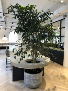 Indoor Plant Rental Victoria – Stylish Greenery for Homes & Offices
Bring life to your space with our premium Indoor Plant Rental Victoria service. We offer a wide range of elegant indoor plants, modern planters, and full maintenance packages to keep them fresh and vibrant. Perfect for offices, homes, events, and commercial spaces. Flexible rental plans available to suit your needs. Add style, freshness, and a touch of nature today!

Our Other Service:-

Plant Hire
Plant Hire Clayton
Plant Hire In Clayton
Plants For Hire
Office Plant Hire In Melbourne
Indoor Plant Hire In Melbourne
Corporate Plant Hire
Office Plants For Hire
Indoor Plant Rental Victoria
Indoor Plant Rental In Melbourne
Indoor Plant Rental Melbourne
Indoor Plant Hire Melbourne
Indoor Plants Hire
Corporate Plant Service Melbourne
Office Plant Hire Melbourne
Melbourne Plant Hire
Corporate Plant Service
Plant Hire Melbourne
Plants For Hire Melbourne
Corporate Plant Hire Melbourne
Event Plant Hire
Event Plant Hire Melbourne
Indoor Office Plants Melbourne
Plant Hire In Melbourne
Office Plants Melbourne
Melbourne Indoor Plants
Ficus Lyrata Melbourne
Best Indoor Plants Melbourne
office plants
Office Planter Boxes
Indoor Plants Maintenance
Best Indoor Plants