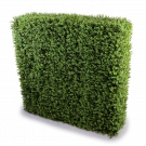 Brighten Up Your Space with an Artificial Hedge Wall
Elevate your home or office with Artificial Hedge Walls from Designer Plants. Perfect for privacy, style, and low-maintenance greenery, our hedges are crafted with premium UV-resistant materials for durability and beauty. They’re perfect for adding a touch of elegance to your pool area with a feature wall or turning a dull office into a vibrant, unique space.


Popular Picks:
Portable Boxwood Hedges
Deluxe Buxus Hedges
Mixed Boxwood Walls

Why Choose Designer Plants?
Realistic Designs: Botanically accurate hedges.
Versatile Options: Portable hedges, planters, and wall panels.
Eco-Friendly: Recyclable and safe for families.
Hassle-Free: No watering, no withering.

Create stunning feature walls, conceal unsightly areas, or add a lush touch to any space. Make the perfect border with our artificial topiary hedges that blend beauty with practicality. Our hedges are ideal for hiding an unsightly fence, creating clear boundaries, or enhancing privacy. Shop now for fast delivery across Australia! Visit today!