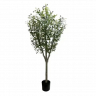 Transform Any Space with an Artificial Living Wall
Inject life into your interiors or exteriors with Designer Plants' premier artificial living wall collection! Stunning, hassle-free, and built to last, these walls redefine greenery. They look beautiful by your front door or at the end of the driveway, adding a timeless elegance to your home. 

If you’re after a bold, exotic vibe, our fake palm trees and Artificial Bamboo bring a touch of jungle-inspired flair – ideal for sprucing up a fence or adding tropical vibes poolside. And for a Mediterranean feel, you can’t go wrong with a pair of stunning artificial olive trees.


Why Choose an Artificial Living Wall?

Lifelike greenery that mimics nature perfectly
UV-resistant materials ensure long-lasting vibrance
Eco-friendly, recyclable, and family-safe
Easy DIY installation with zero maintenance needed


Perfect for homes, offices, or events, these walls effortlessly elevate your environment. Add a fresh green touch and transform any dull space into a beautiful, lush haven. Go for the classic charm of an Artificial Fiddle Leaf Fig or something similar from our artificial ficus range, perfect for those impressive, oversized leaves.