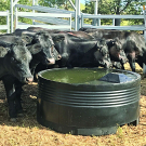 Keep Your Flock Hydrated with Tough Built Sheep Water Trough
One of the most efficient ways to ensure steady water supply and conserve water is by installing durable, UV-stable plastic tanks. FSP Oz Products brings you a high-quality Sheep Water Trough manufactured from UV-stabilised polyethylene that keeps your livestock healthy. Our troughs are sturdy, weather-resistant, and designed to tackle the demands of daily rural life.


Features of our Sheep Water Troughs:
Rust-proof and crack-resistant
Easy to clean and maintain
Lightweight, durable, and portable
Available in various sizes to suit your needs

Our heavy-duty water tanks are built to handle the harsh Australian sun without cracking or chipping. They're tough, low-maintenance, and come with a generous 10-year warranty for peace of mind. Plus, they’re designed to block out light, which helps prevent algae growth, keeping your stored water cleaner for longer. 