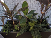 There Are Very Few Décor Moves As Smart As Faux Plants
Faux plants are one of those rare upgrades that stay flawless year-round and expect nothing in return. Designer Vertical Gardens offers realistic greenery with lifelike colors, textures, and details. 

The issue with most faux plants online is that they look like props. Ours pass for real. They hold up under Australian sun, indoors or outdoors, with no mess and no maintenance. 

What You Get: 

A wide collection of premium faux plants online 
UV-resistant foliage built for Australian conditions 
Natural shapes and forms made to pass the glance test 
Sizes that suit desks, walls, balconies or commercial displays 
Fast delivery across Australia from our local warehouse 
Faux plants across Australia are rising in demand, but quality ones are still hard to find. Designer Vertical Gardens create stunning, durable pieces that turn heads and earn compliments. 

If you want zero-maintenance greenery that doesn’t look plastic, this is where you get it.