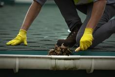 Protect your home with professional gutter cleaning in Adelaide from Dead Short Electrical & Roofing. Blocked gutters can lead to serious problems like water damage, roof leaks, and even pest infestations. That’s why regular gutter cleaning is essential—especially in leafy Adelaide suburbs. Our expert team provides thorough gutter cleaning services for both residential and commercial properties. We remove leaves, debris, and blockages to ensure your gutters and downpipes flow freely, protecting your roof and foundations from water damage. At Dead Short, we use safe and effective methods, including harnesses and ladder systems, to clean gutters at all heights. We also inspect your guttering system and provide honest advice if repairs or replacements are needed. Our Adelaide gutter cleaning service is fast, affordable, and mess-free. We take care of everything, so you don’t have to climb ladders or risk injury. Whether it’s a one-off clean or scheduled maintenance, we keep your gutters clear and functional all year round. Book your gutter cleaning Adelaide with Dead Short today and avoid costly repairs tomorrow. Reliable service, great prices, and a team you can trust.