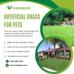 Give your pets the perfect outdoor play space with pet-friendly artificial grass from Verdigrass! Our high-quality synthetic turf stays green all year, resists odors, and is easy to clean—making it ideal for dogs, cats, and other furry friends. Designed for durability and comfort, it prevents mud, patchy spots, and rough wear while providing a safe, comfortable surface your pets will love. Upgrade your yard with the best pet-friendly artificial grass solutions and enjoy a cleaner, greener, low-maintenance outdoor space!