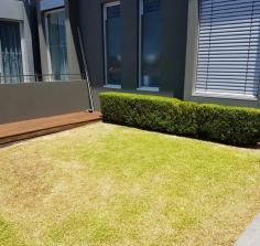 We understand that a beautiful lawn can transform your outdoor space and are committed to providing the highest quality service. Our reputation for great rates and customer satisfaction sets us apart. By choosing GreenEdge Turf and Garden Care, you’re ensuring your turf is laid by professionals who pay attention to every detail, avoiding common mistakes that can lead to unsightly lawns.