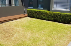 We understand that a beautiful lawn can transform your outdoor space and are committed to providing the highest quality service. Our reputation for great rates and customer satisfaction sets us apart. By choosing GreenEdge Turf and Garden Care, you’re ensuring your turf is laid by professionals who pay attention to every detail, avoiding common mistakes that can lead to unsightly lawns.
