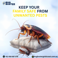 Maintain a clean and comfortable environment with professional Pest Control Services. Suitable for residential and commercial properties, these services focus on identifying pest activity and applying appropriate treatment methods to manage common issues. With trained technicians and approved practices, pest control supports hygiene standards and ongoing property care. Choose trusted pest control services for consistent maintenance and a healthier living or working space year-round.