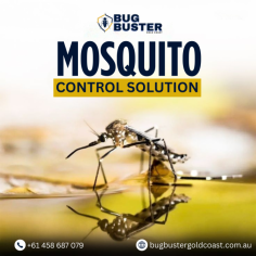 Maintain a more comfortable environment with professional Mosquito Treatment in Gold Coast. Suitable for homes, commercial properties, and outdoor areas, this service focuses on identifying breeding sources and applying appropriate treatment methods to manage mosquito activity. With trained technicians and approved practices, mosquito treatment supports better outdoor usability and ongoing property care. Choose trusted mosquito treatment services in Gold Coast for consistent maintenance and peace of mind.