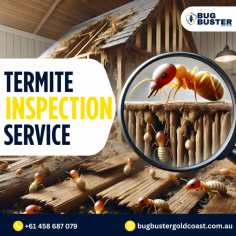 Protect your property with professional Termite Inspection in Gold Coast. Suitable for residential and commercial buildings, this service focuses on identifying signs of termite activity through detailed inspection methods. With experienced technicians and structured processes, termite inspections help support early detection and ongoing property care. Choose trusted termite inspection services in Gold Coast for regular monitoring and peace of mind.