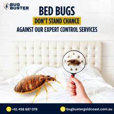 Maintain a clean and comfortable environment with professional Bed Bug Treatment in Gold Coast. Suitable for homes, apartments, hotels, and commercial properties, this service focuses on detailed inspection and appropriate treatment methods to manage bed bug activity. With experienced technicians and approved practices, bed bug treatment supports hygiene standards and ongoing property care. Choose trusted bed bug treatment services in Gold Coast for consistent maintenance and peace of mind.