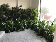 How Indoor Plant Hire In Melbourne Enhances Office and Commercial Spaces
Looking for professional Indoor Plant Hire In Melbourne? Add natural beauty and freshness to your office, reception, or commercial space with premium indoor plants. Our Indoor Plant Hire In Melbourne service provides a wide range of stylish plants along with expert installation and regular maintenance. Choose Indoor Plant Hire In Melbourne to create a healthier, more attractive, and productive environment for employees and visitors.
Our Other Service:-
Plant Hire
Plant Hire Clayton
Plant Hire In Clayton
Plants For Hire
Office Plant Hire In Melbourne
Indoor Plant Hire In Melbourne
Corporate Plant Hire
Office Plants For Hire
Indoor Plant Rental Victoria
Indoor Plant Rental In Melbourne
Indoor Plant Rental Melbourne
Indoor Plant Hire Melbourne
Indoor Plants Hire
Corporate Plant Service Melbourne
Office Plant Hire Melbourne
Melbourne Plant Hire
Corporate Plant Service
Plant Hire Melbourne
Plants For Hire Melbourne
Corporate Plant Hire Melbourne
Event Plant Hire
Event Plant Hire Melbourne
Indoor Office Plants Melbourne
Plant Hire In Melbourne
Office Plants Melbourne
Melbourne Indoor Plants
Ficus Lyrata Melbourne
Best Indoor Plants Melbourne
office plants
Office Planter Boxes
Indoor Plants Maintenance
Best Indoor Plants